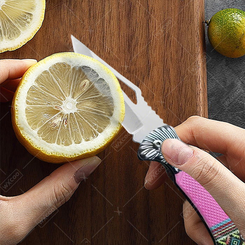 WXCOO Folding Knife Stainless  - đánh giá và giá Kitchen Baking Store